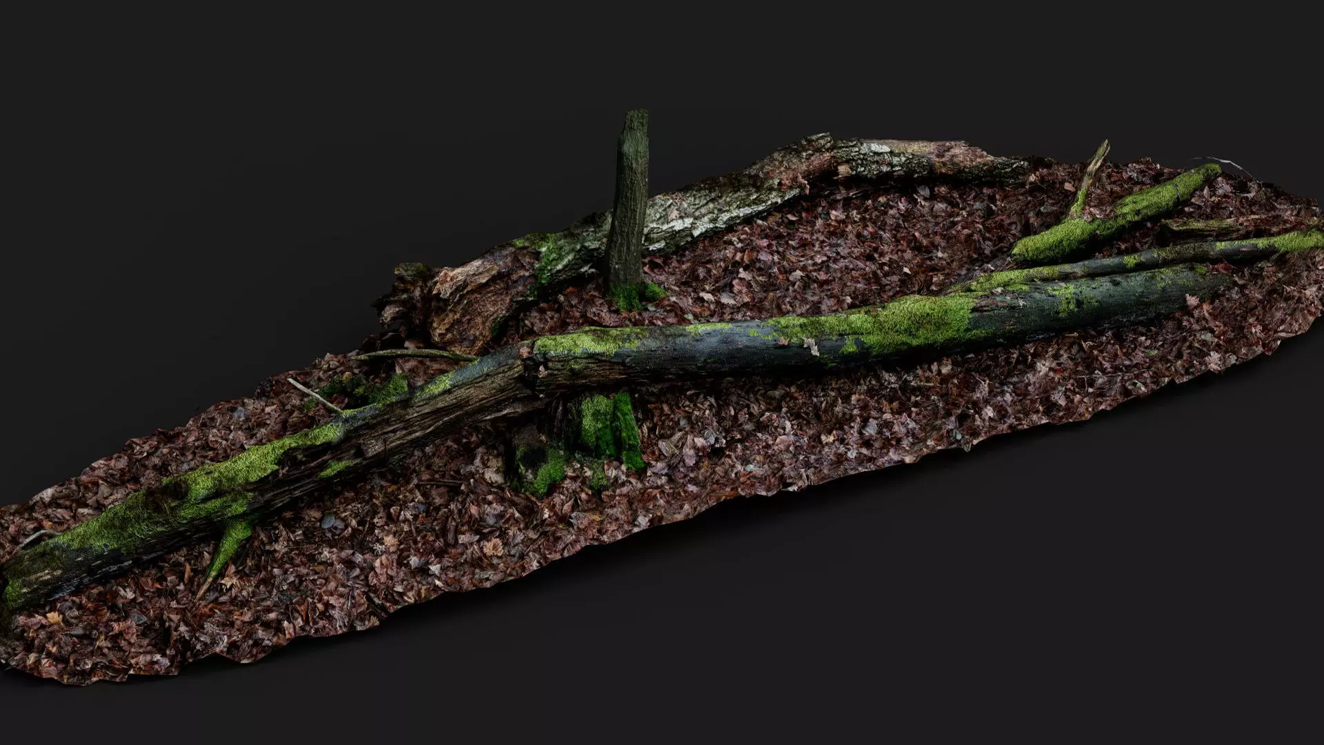 broken tree trunks forest ground PBR photogrammetry Low-poly 3D model_0