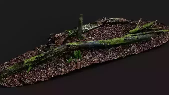 broken tree trunks forest ground PBR photogrammetry