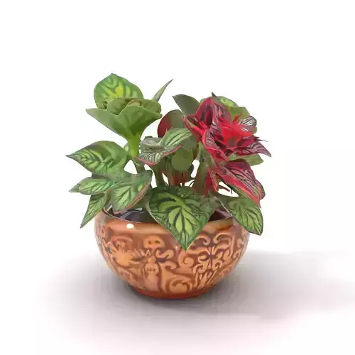 Decorative Potted Plant model pack