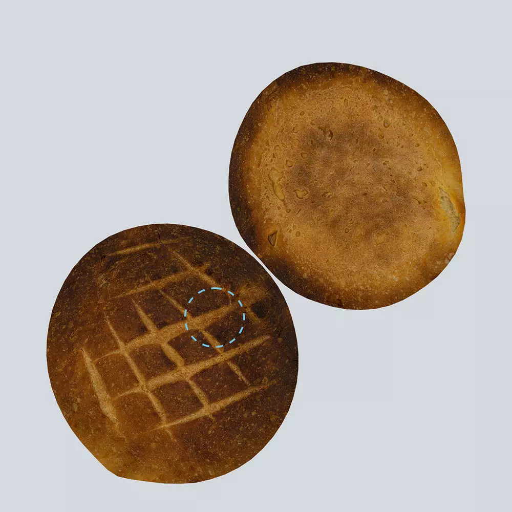 Scanlabz Collection Bakery 3D model_28