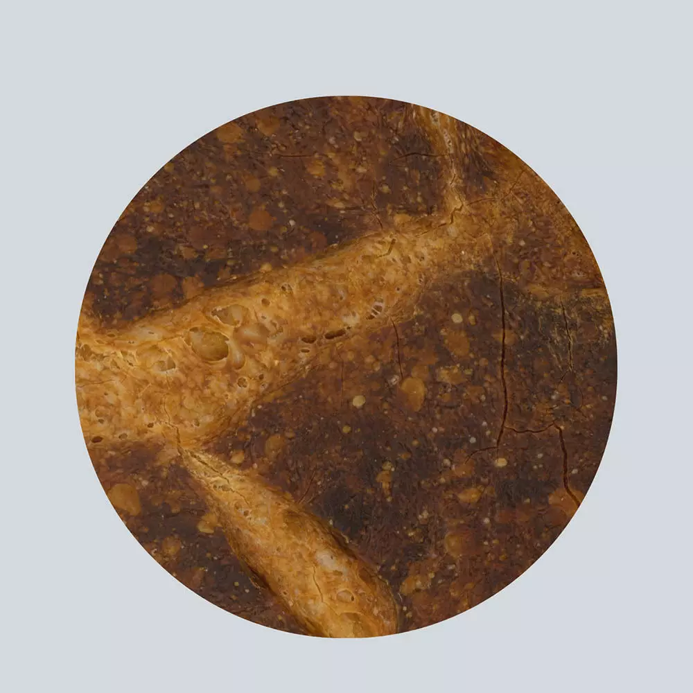 Scanlabz Collection Bakery 3D model_29