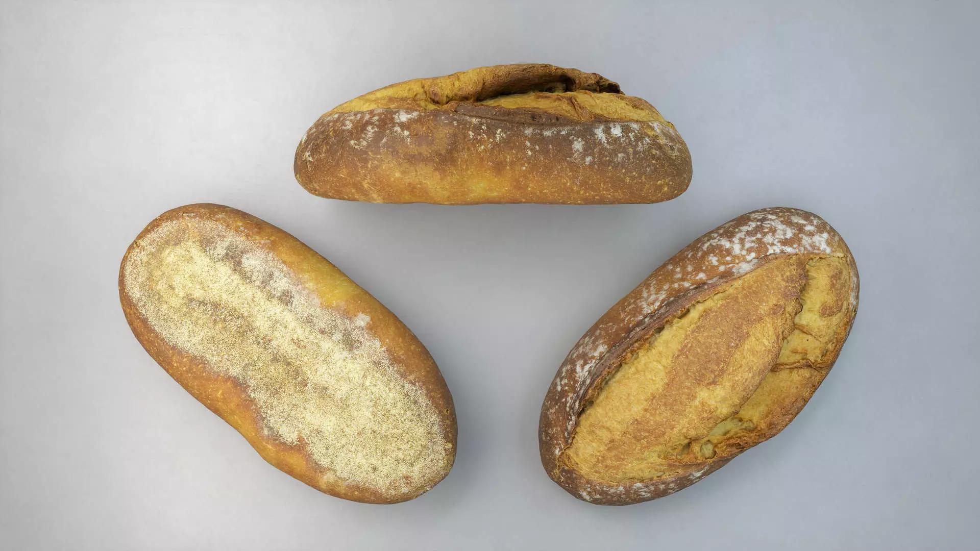 Scanlabz Collection Bakery 3D model_7