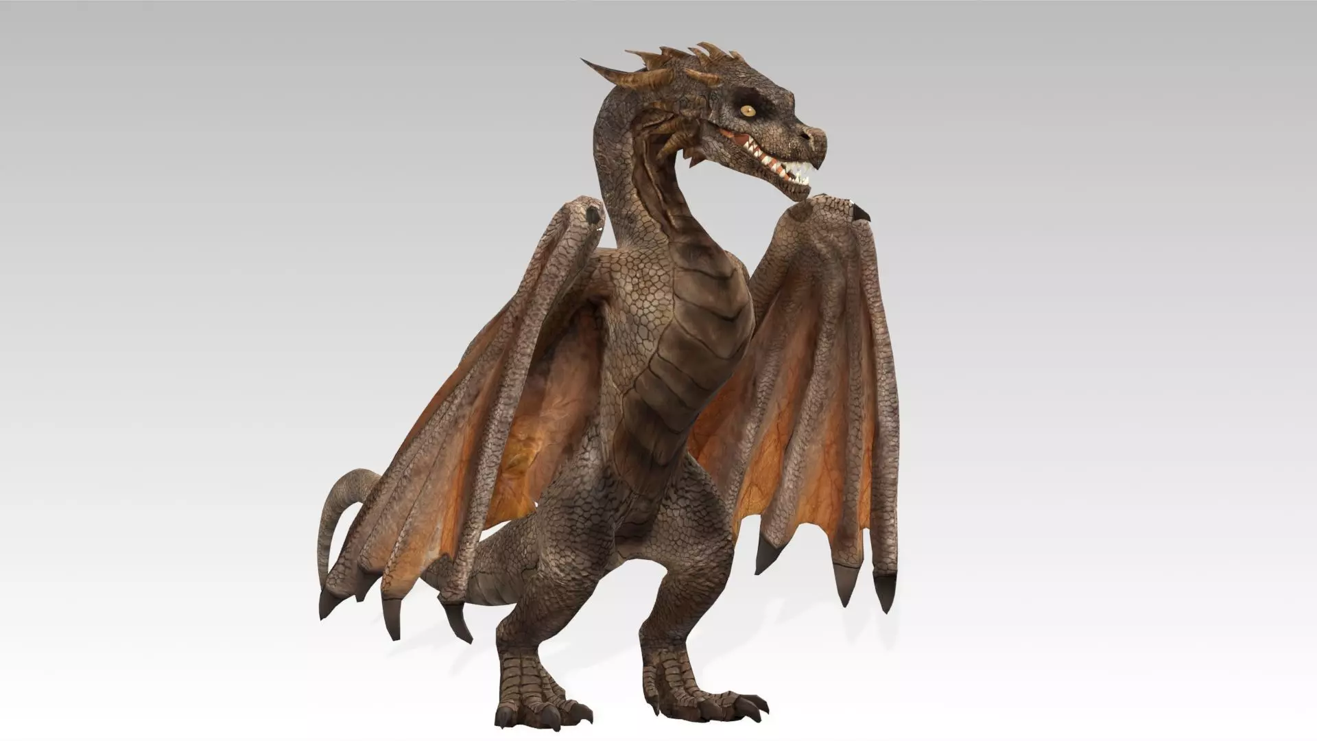 Wyvern Low-poly 3D model_3