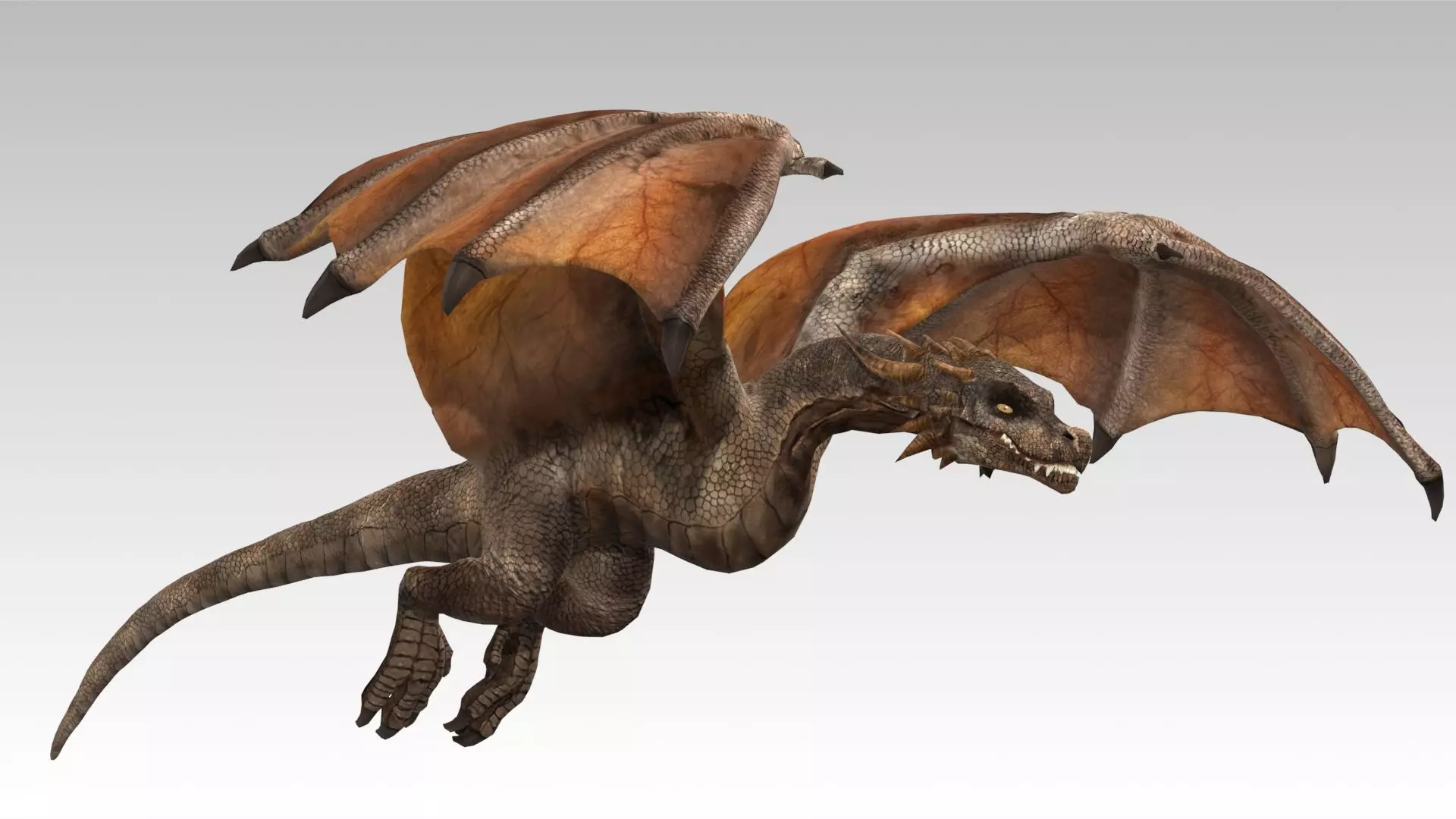 Wyvern Low-poly 3D model_6