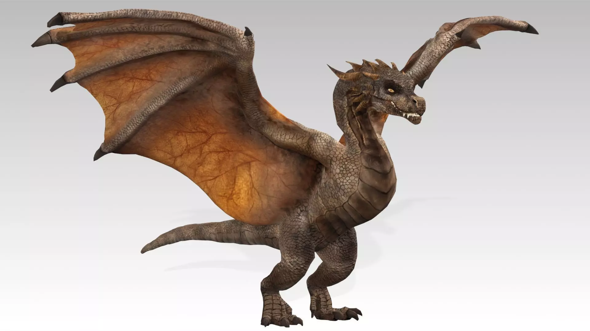 Wyvern Low-poly 3D model_4