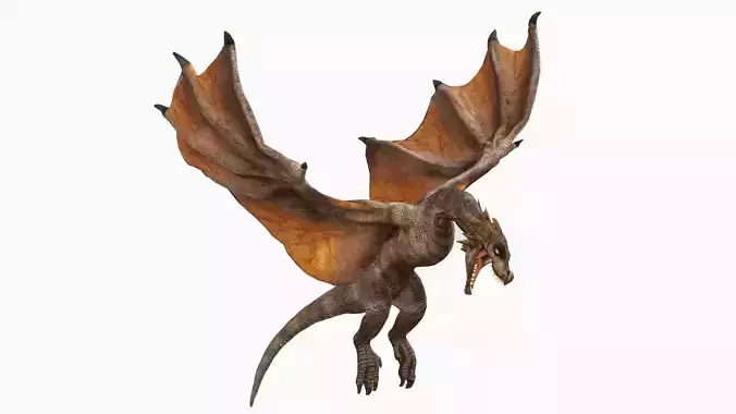 Wyvern Low-poly 3D model
