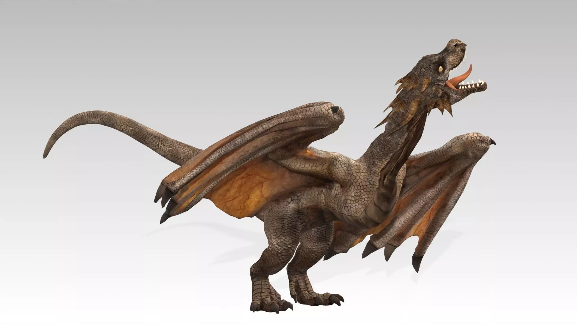 Wyvern Low-poly 3D model_8