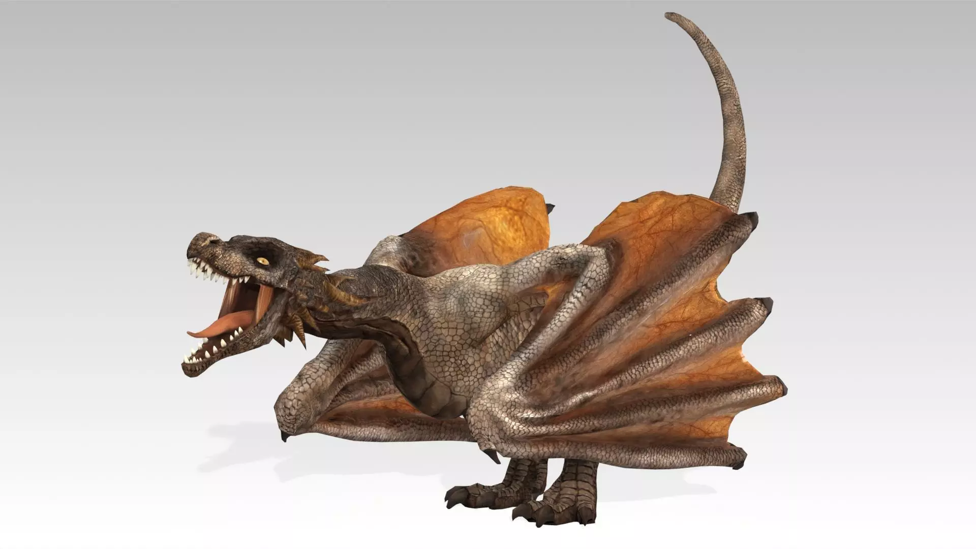 Wyvern Low-poly 3D model_7