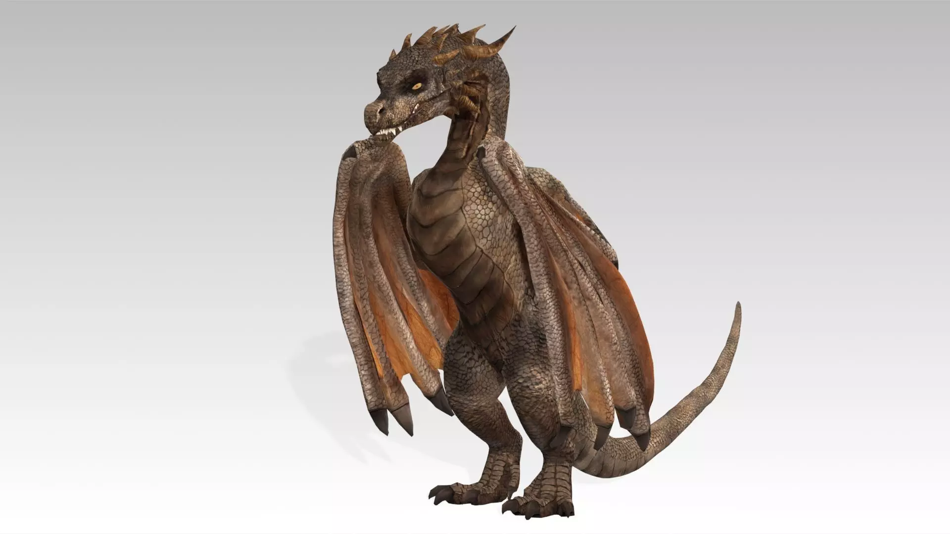 Wyvern Low-poly 3D model_2