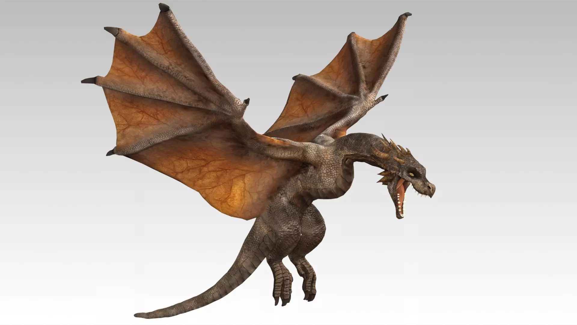 Wyvern Low-poly 3D model_10