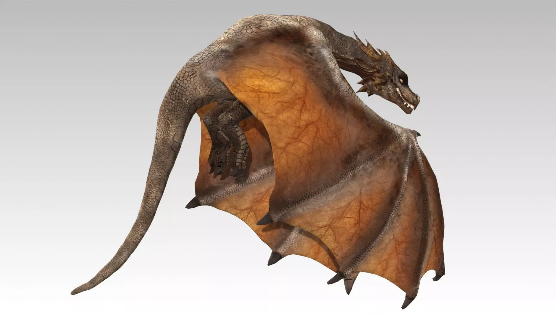 Wyvern Low-poly 3D model_9
