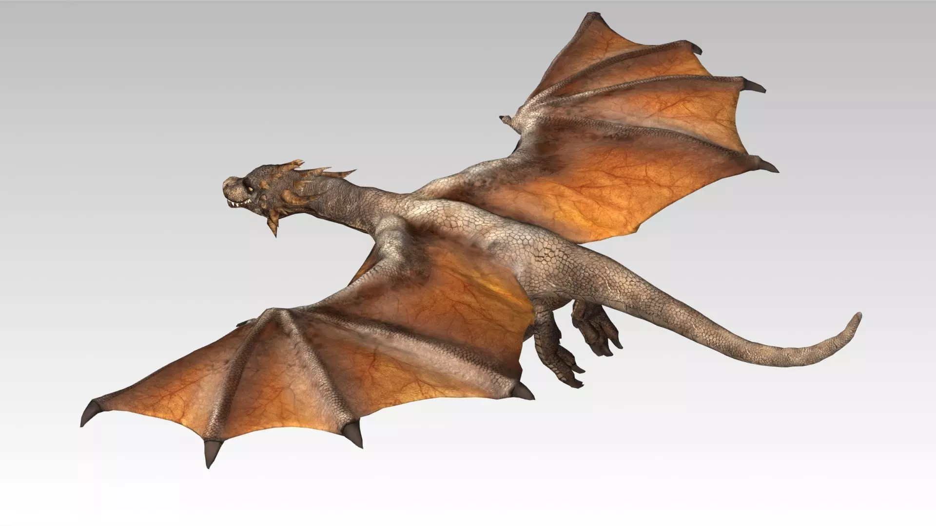Wyvern Low-poly 3D model_5