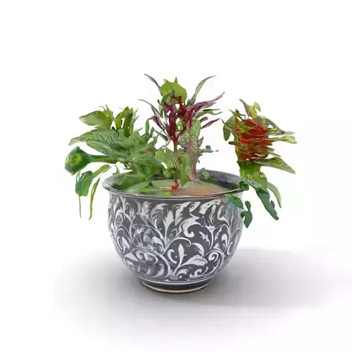Vibrant Foliage Arrangement model pack Low-poly 3D model