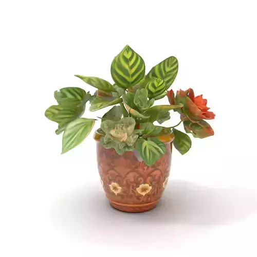 Decorative Potted Plant model pack
