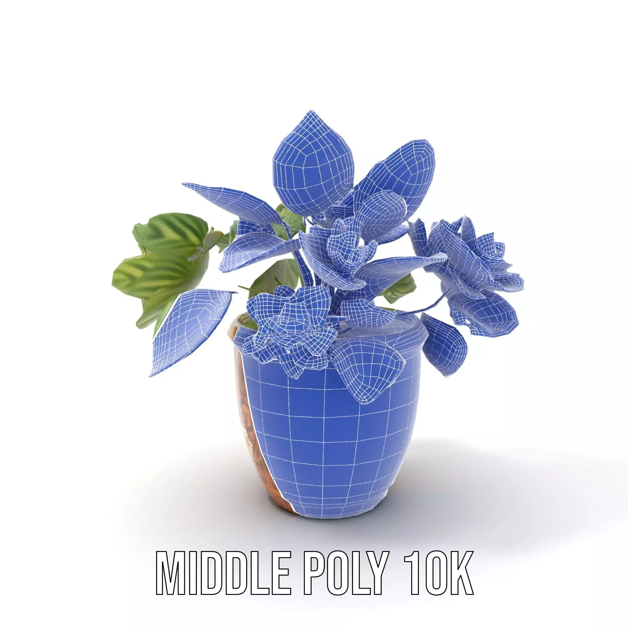 Decorative Potted Plant model pack Low-poly 3D model_13