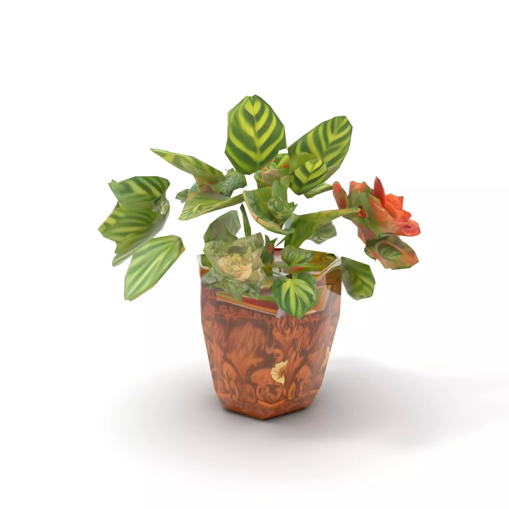 Decorative Potted Plant model pack Low-poly 3D model_14