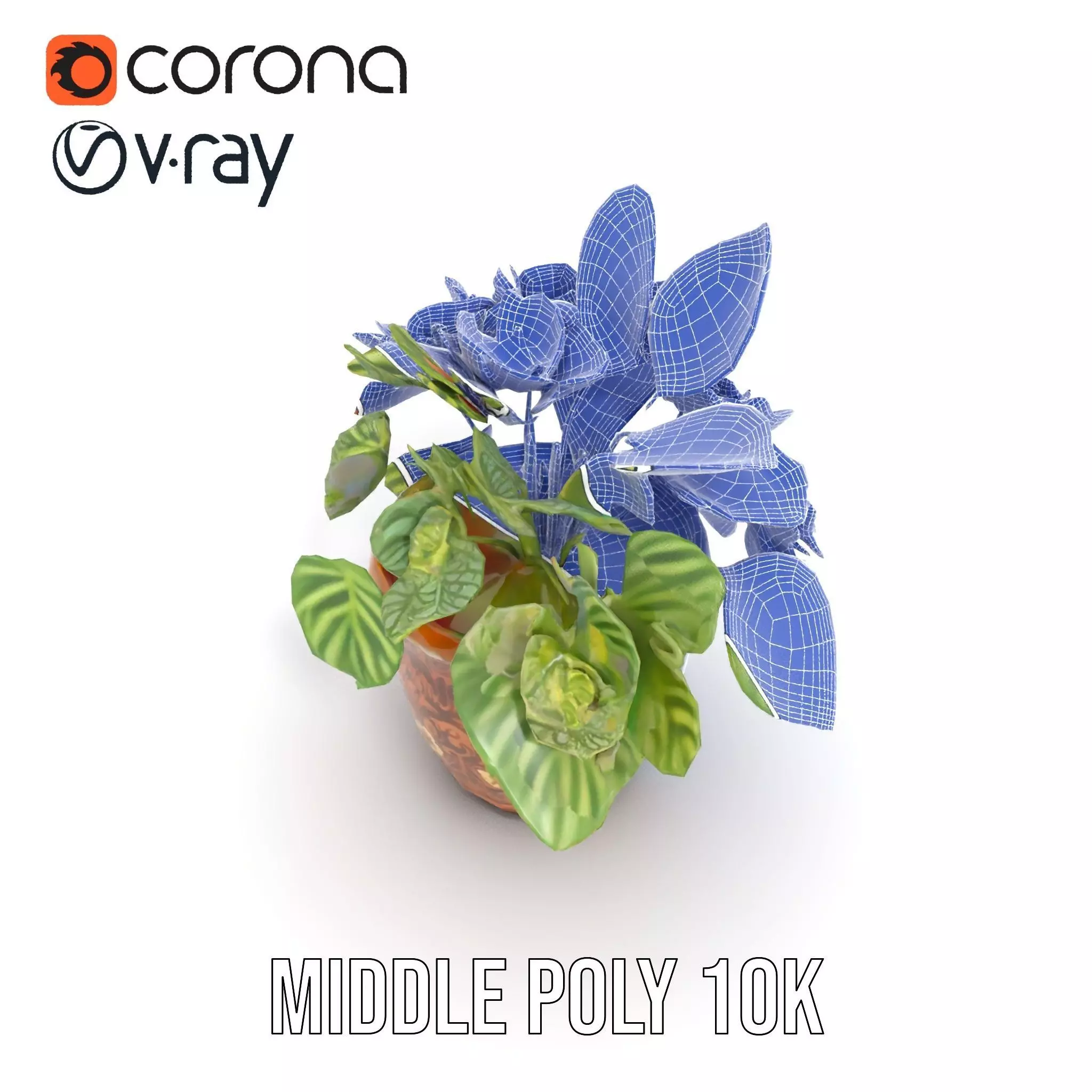 Decorative Potted Plant model pack Low-poly 3D model_24