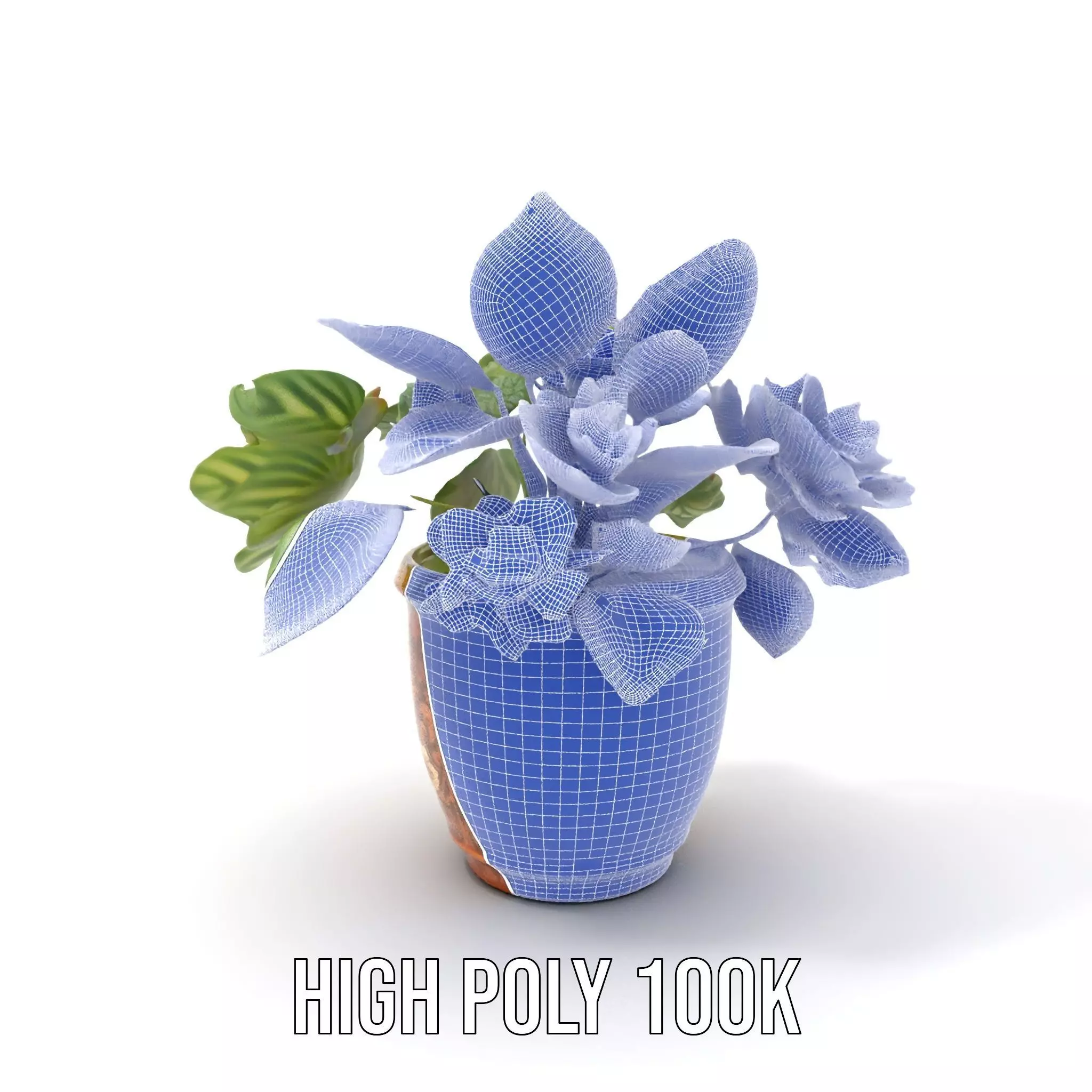 Decorative Potted Plant model pack Low-poly 3D model_4