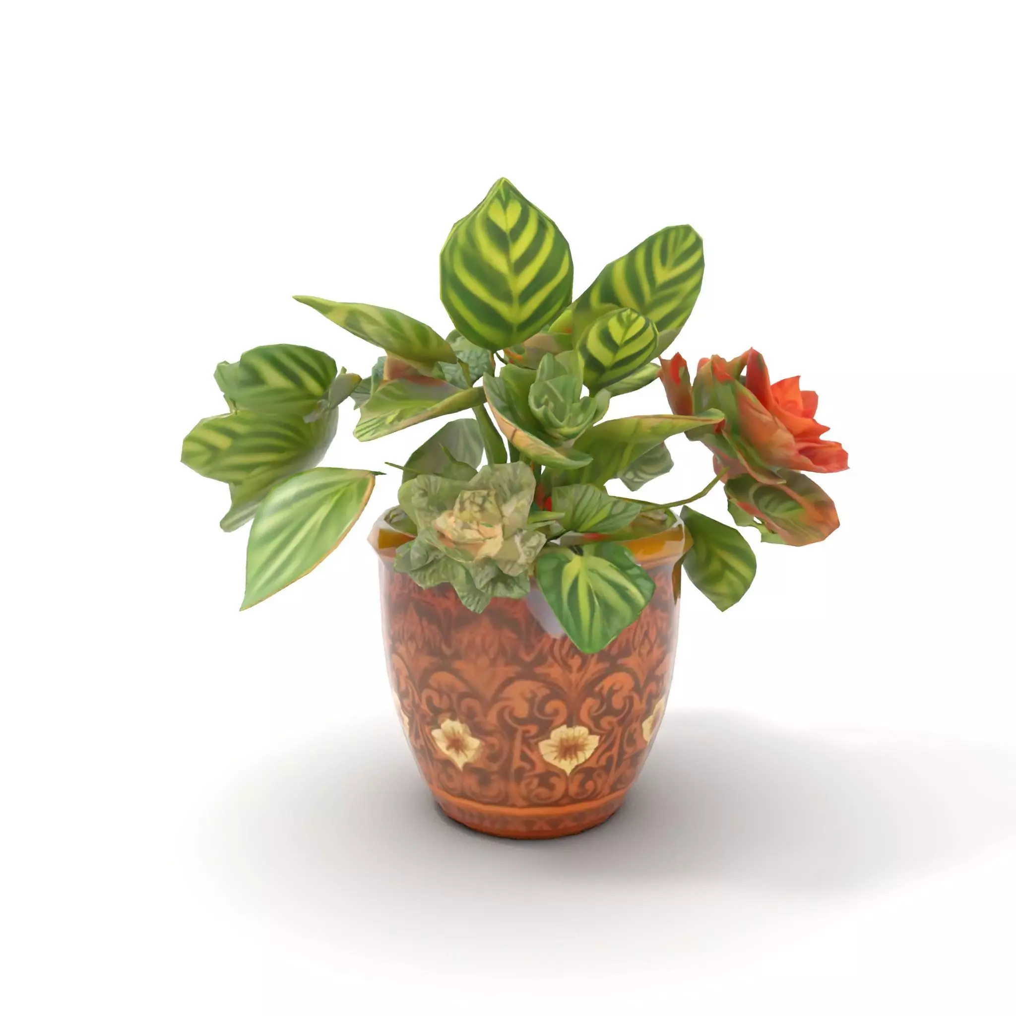 Decorative Potted Plant model pack Low-poly 3D model_6