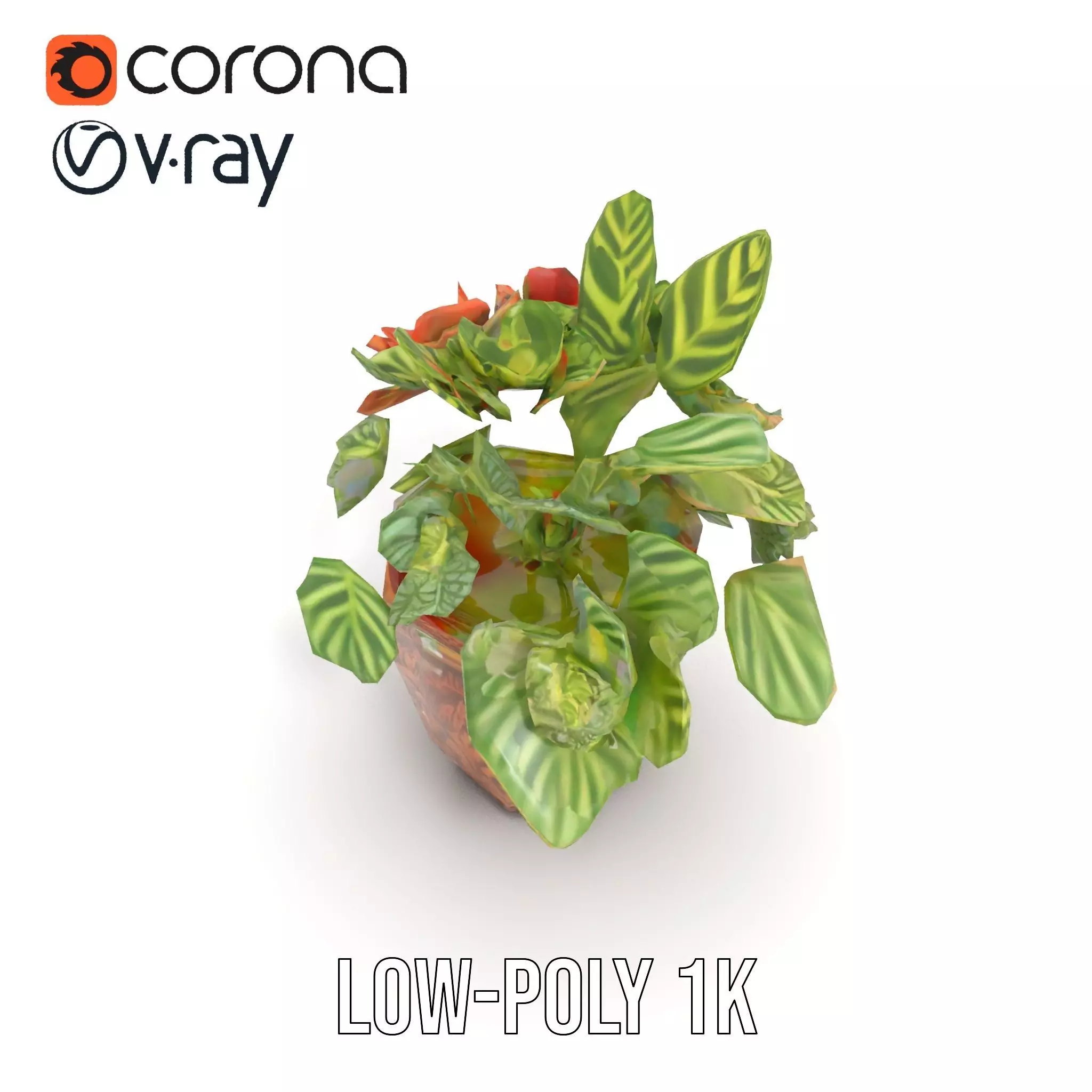 Decorative Potted Plant model pack Low-poly 3D model_22