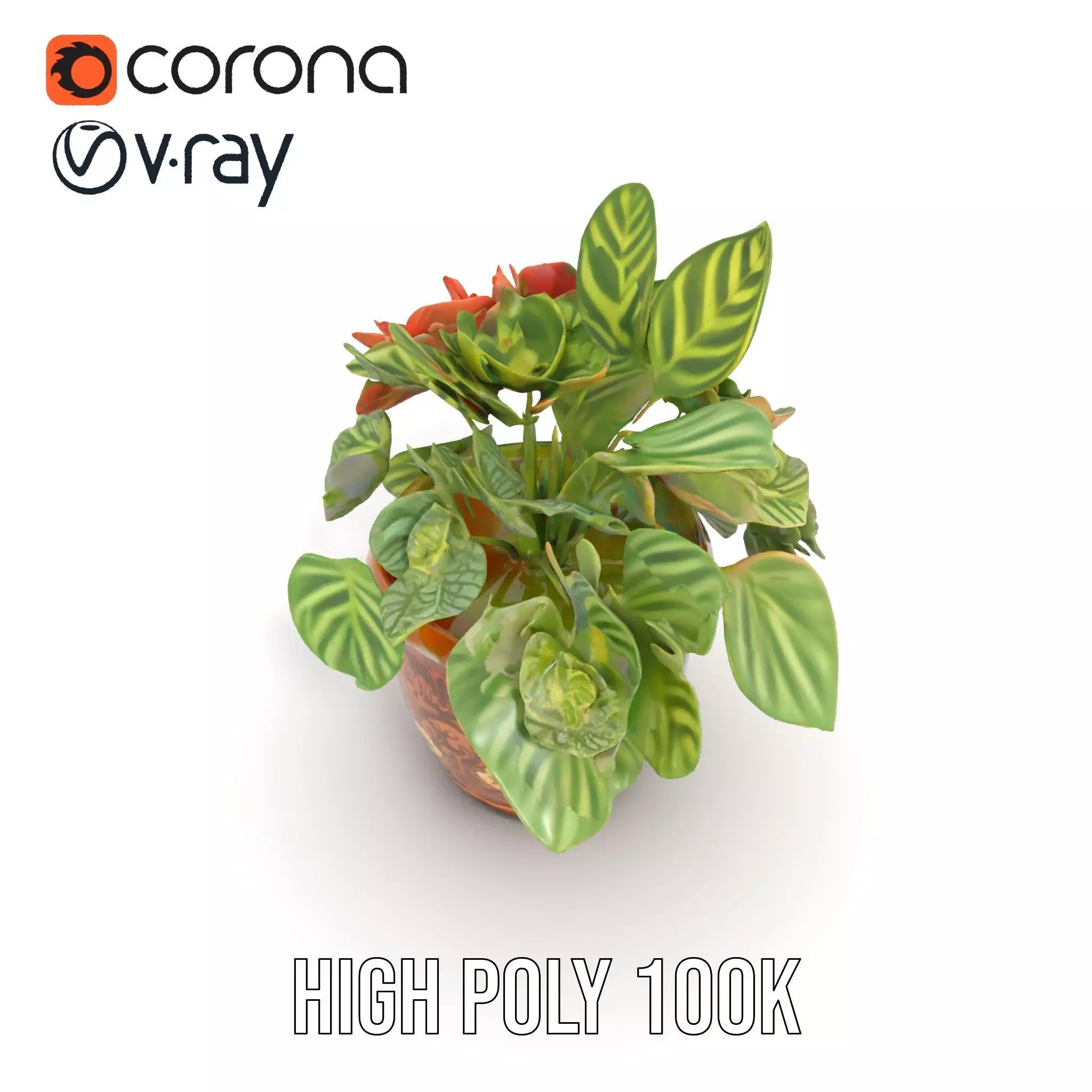 Decorative Potted Plant model pack Low-poly 3D model_23