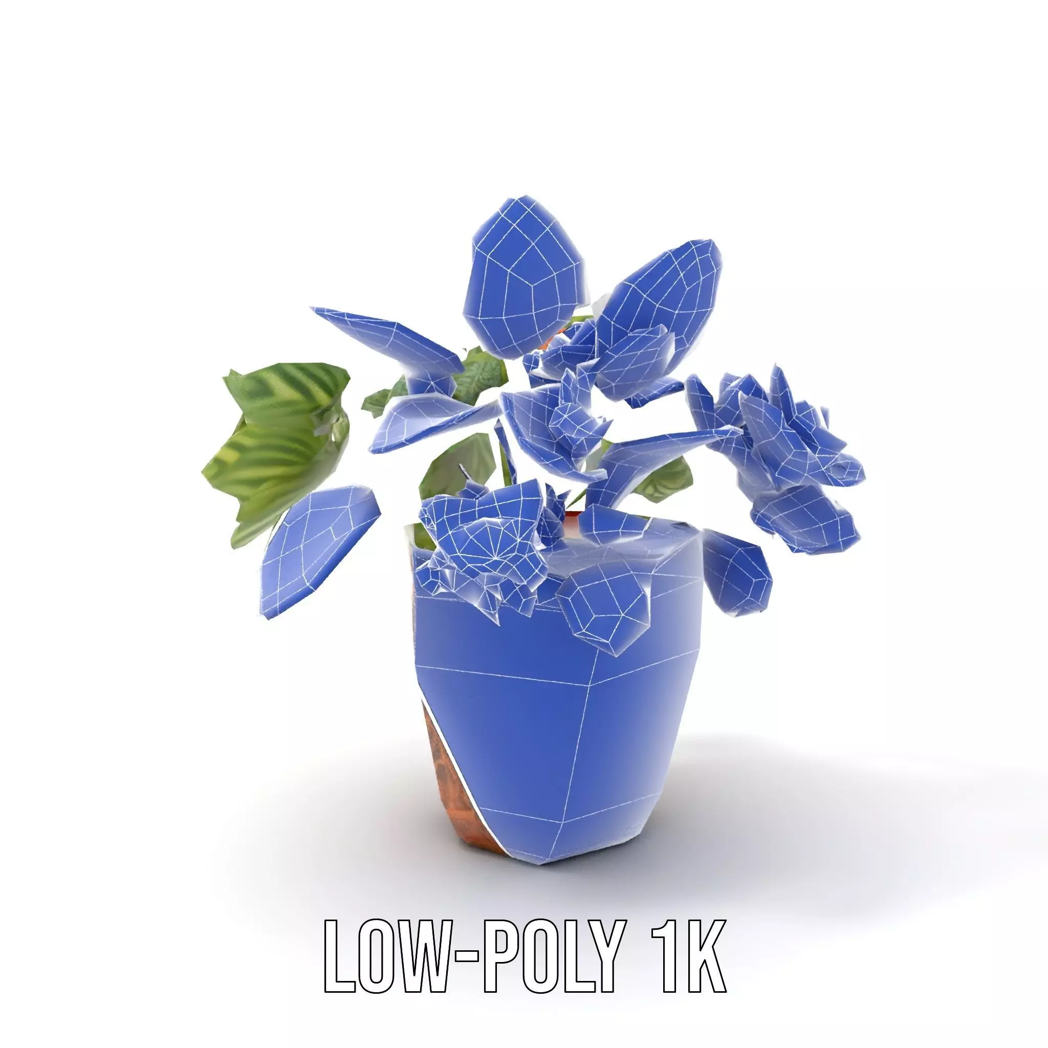 Decorative Potted Plant model pack Low-poly 3D model_9