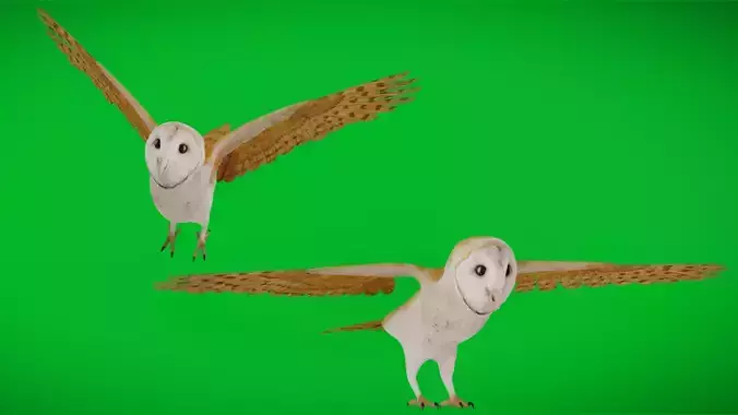 Asian Barn Owl Bird Low-poly 3D model