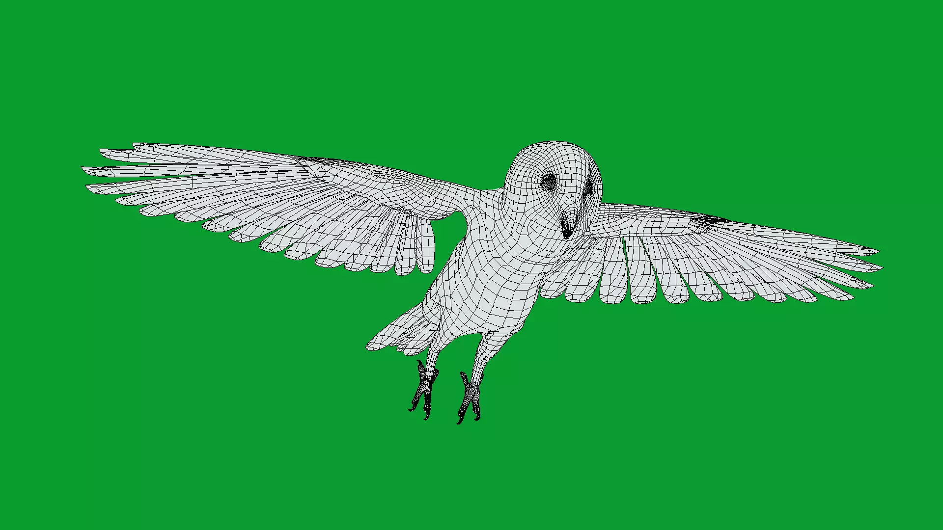 Asian Barn Owl Bird Low-poly 3D model_32