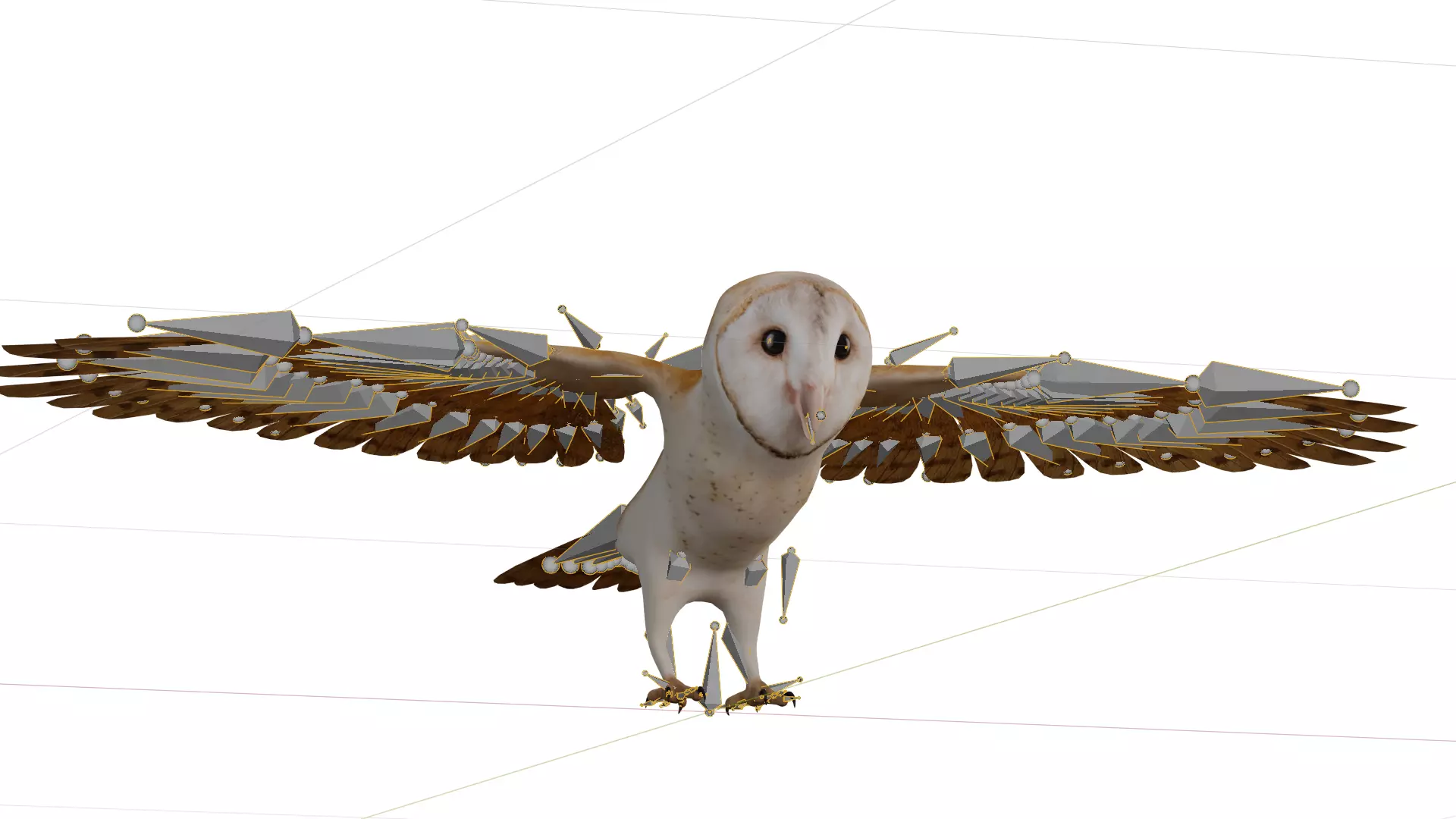 Asian Barn Owl Bird Low-poly 3D model_24