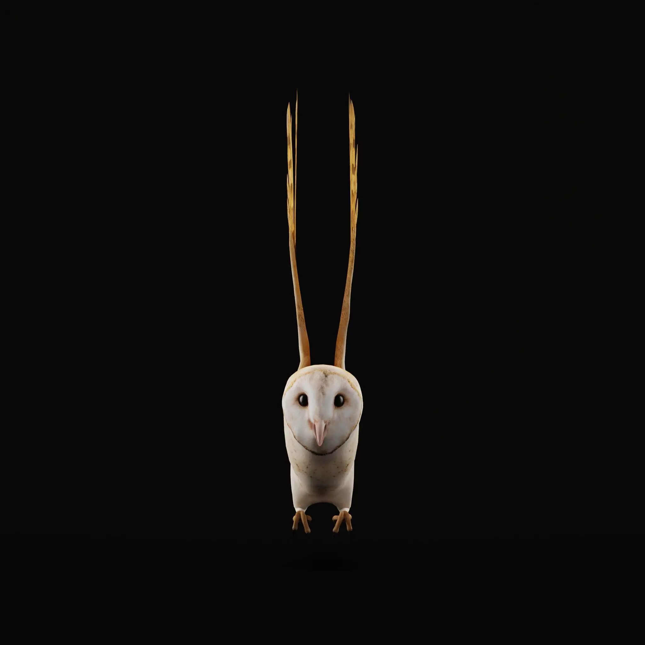 Asian Barn Owl Bird Low-poly 3D model_22
