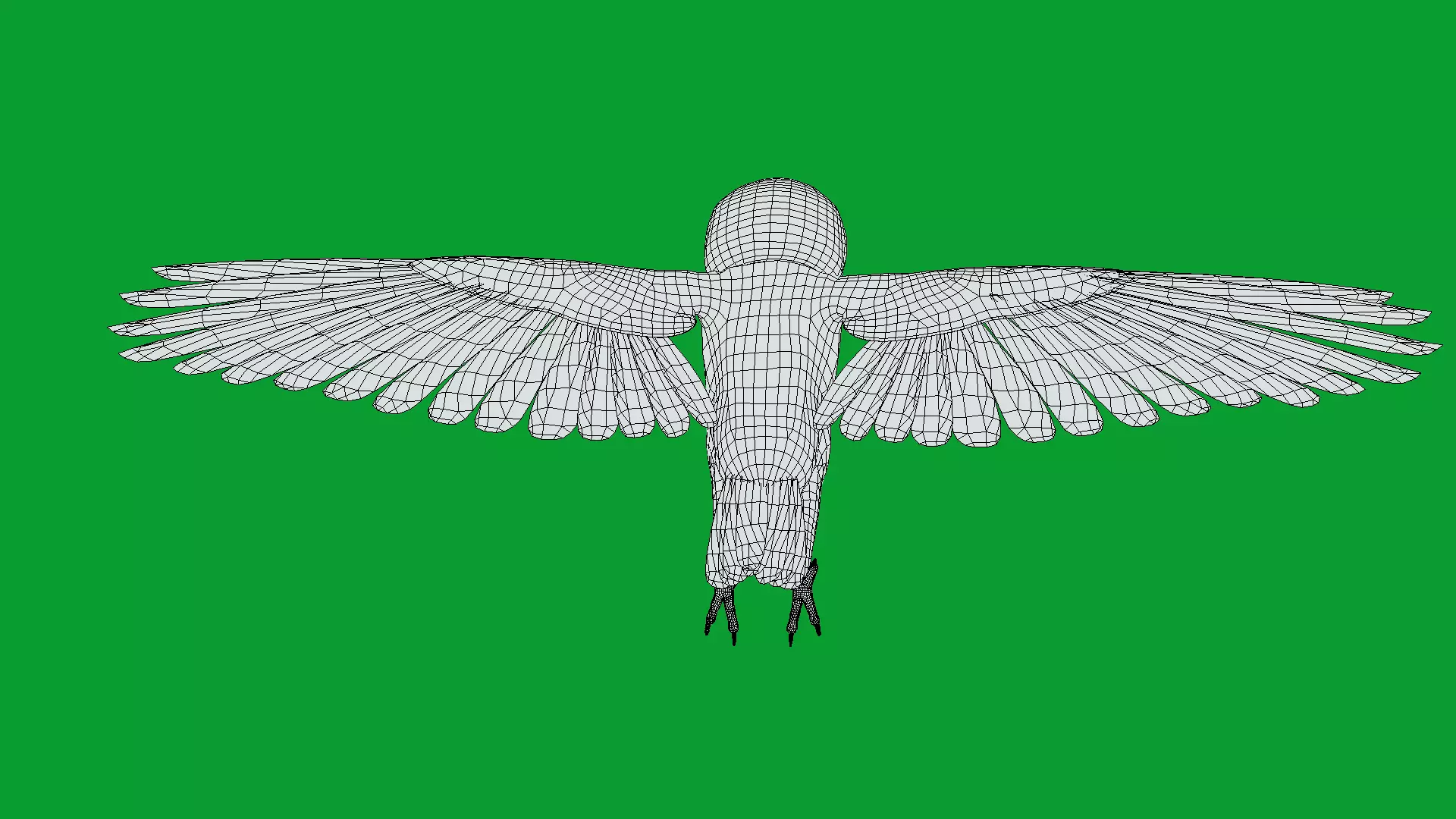 Asian Barn Owl Bird Low-poly 3D model_28