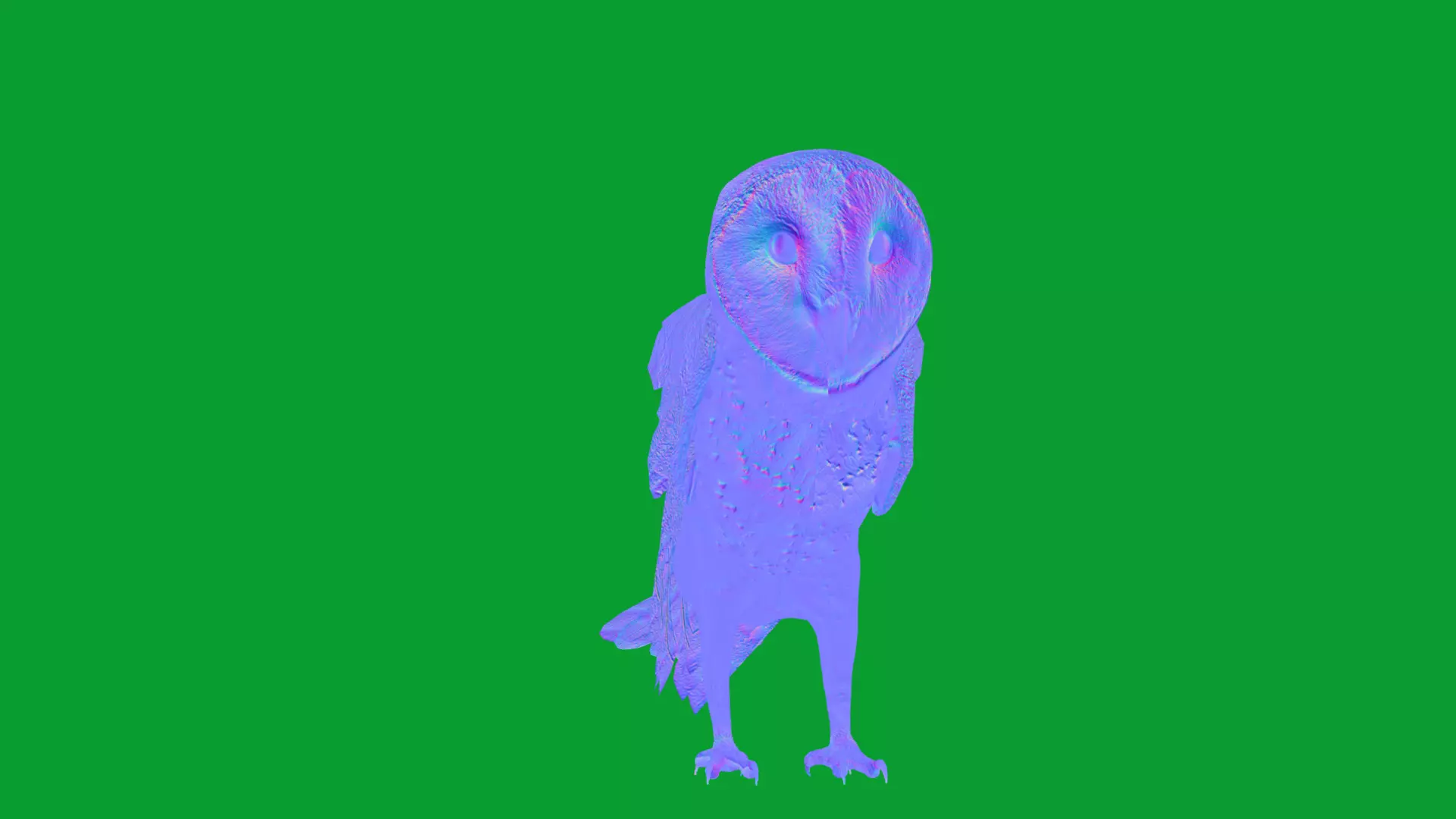 Asian Barn Owl Bird Low-poly 3D model_37