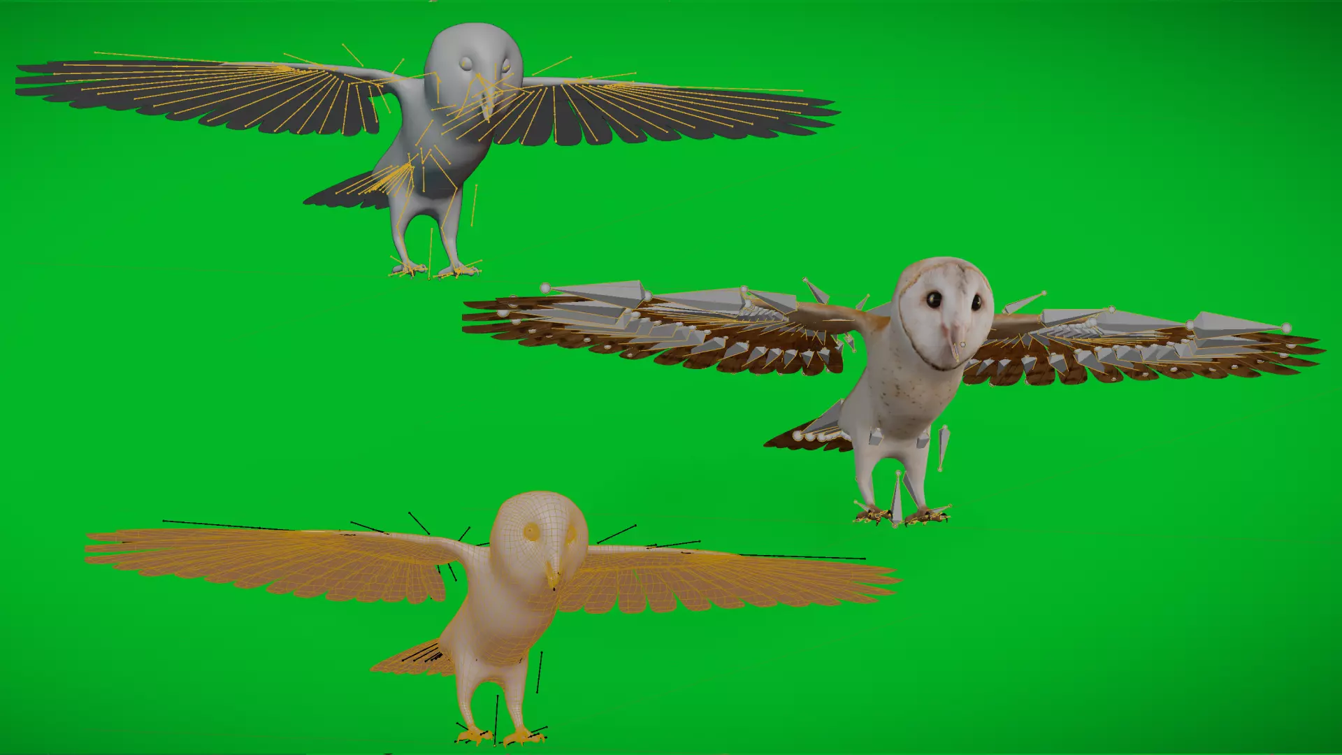 Asian Barn Owl Bird Low-poly 3D model_7