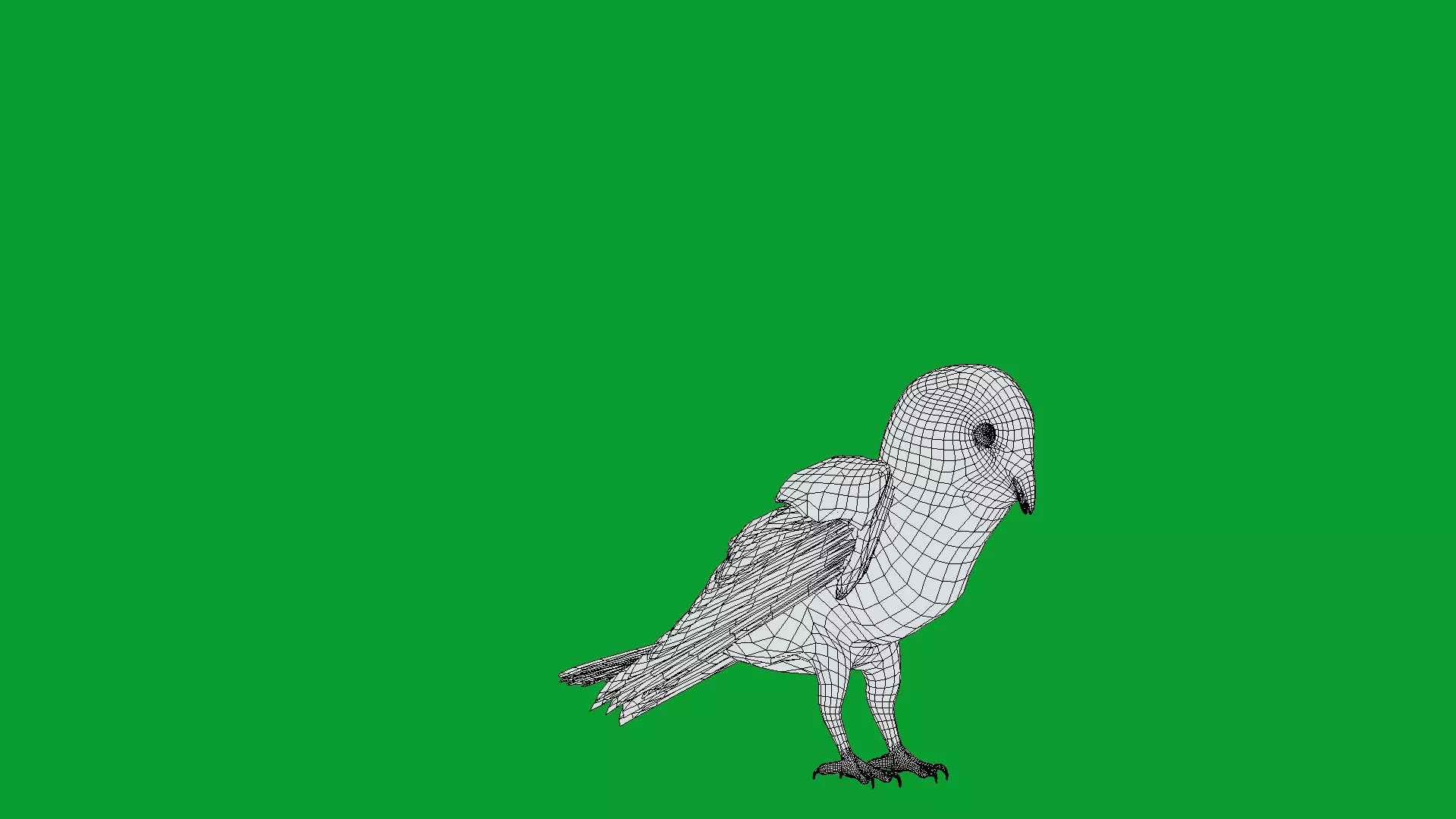 Asian Barn Owl Bird Low-poly 3D model_8