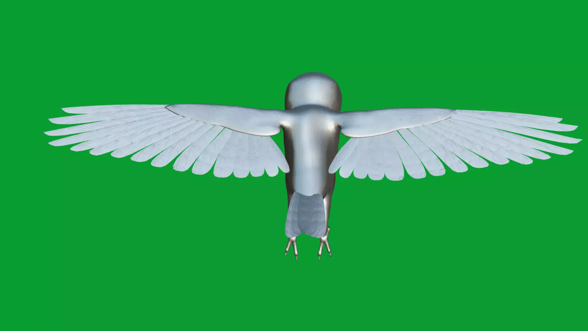 Asian Barn Owl Bird Low-poly 3D model_43