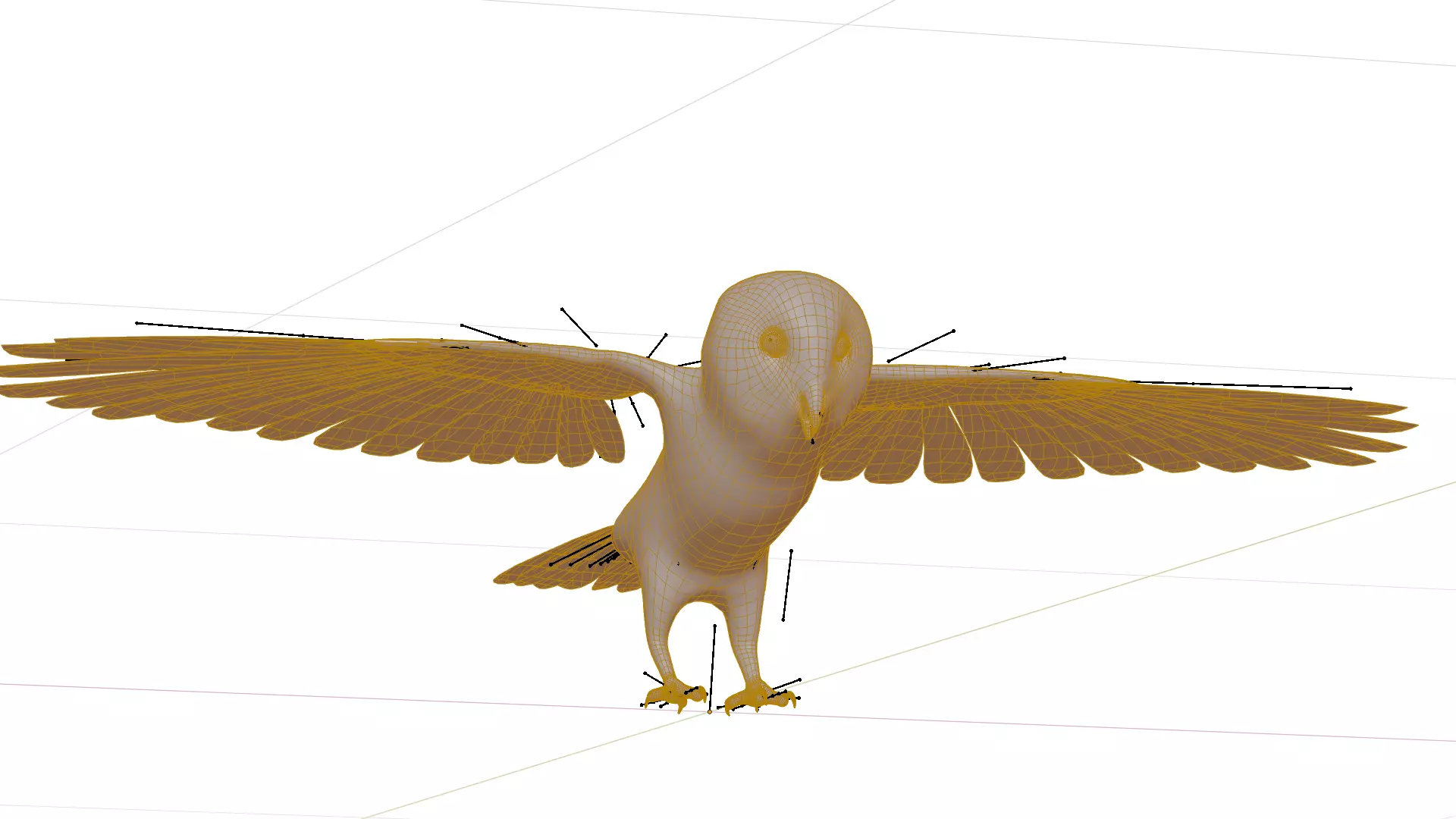 Asian Barn Owl Bird Low-poly 3D model_29