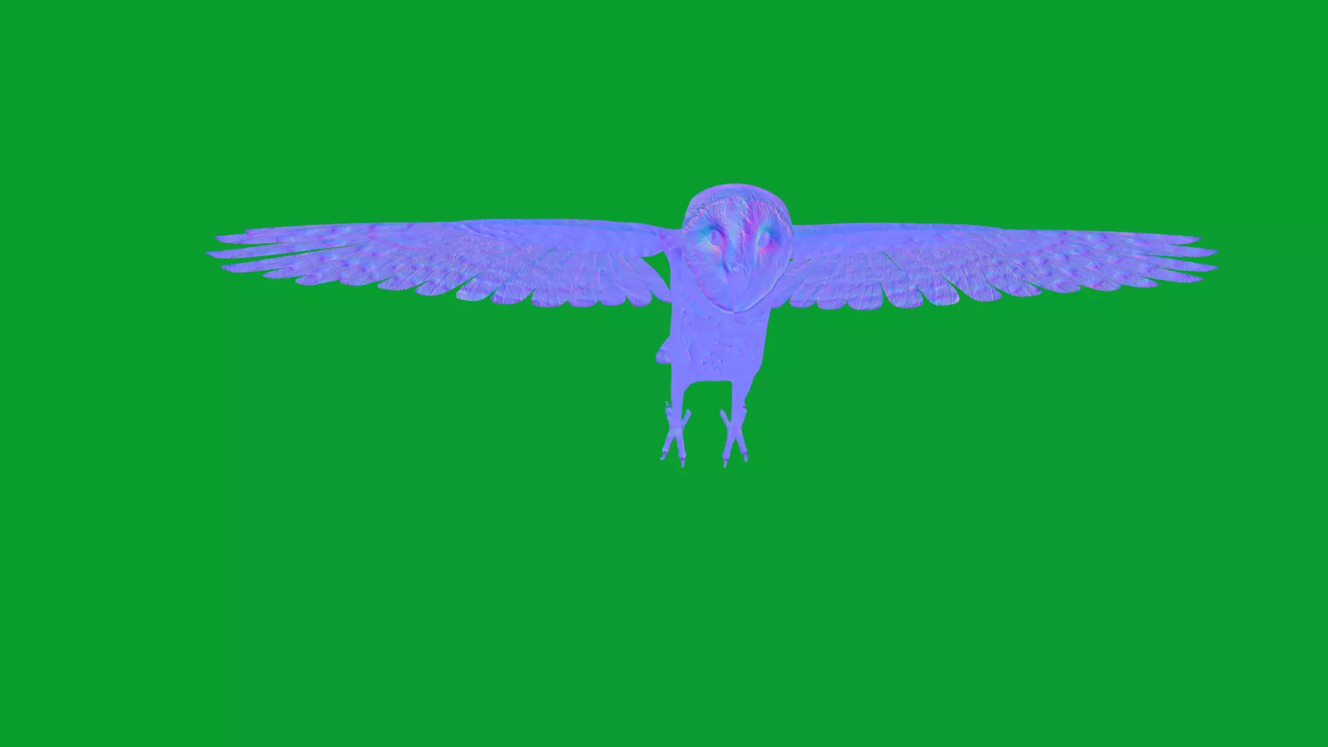 Asian Barn Owl Bird Low-poly 3D model_48