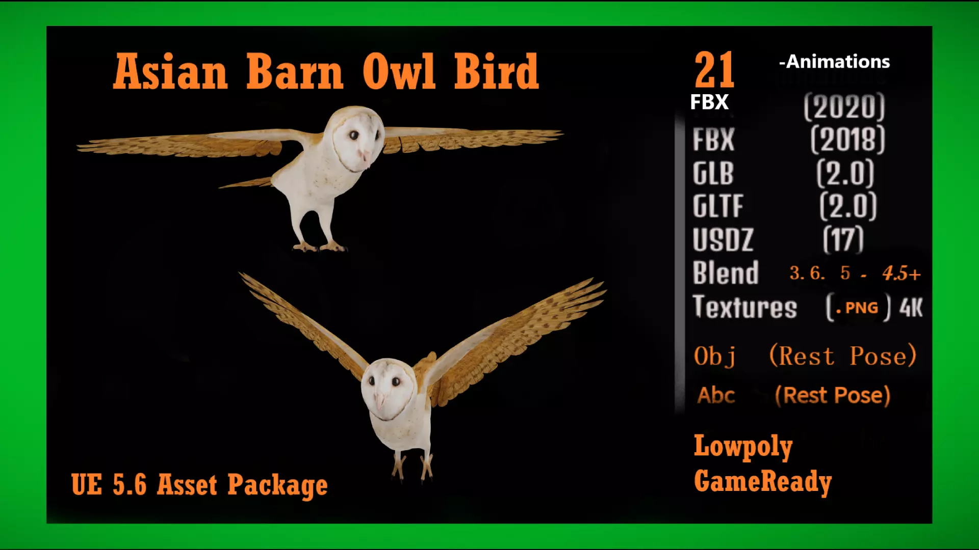 Asian Barn Owl Bird Low-poly 3D model_4