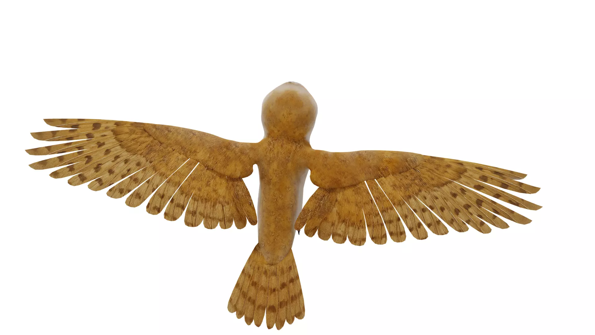 Asian Barn Owl Bird Low-poly 3D model_23