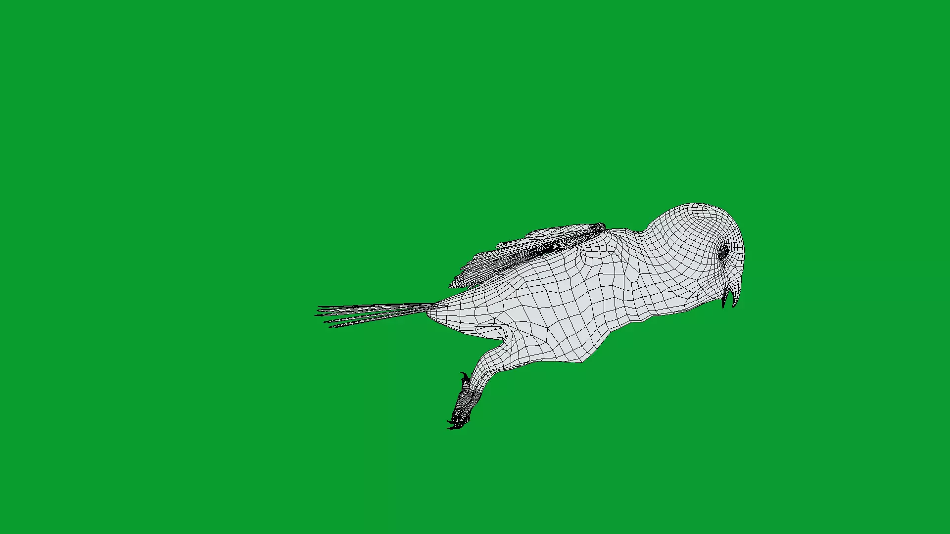 Asian Barn Owl Bird Low-poly 3D model_25