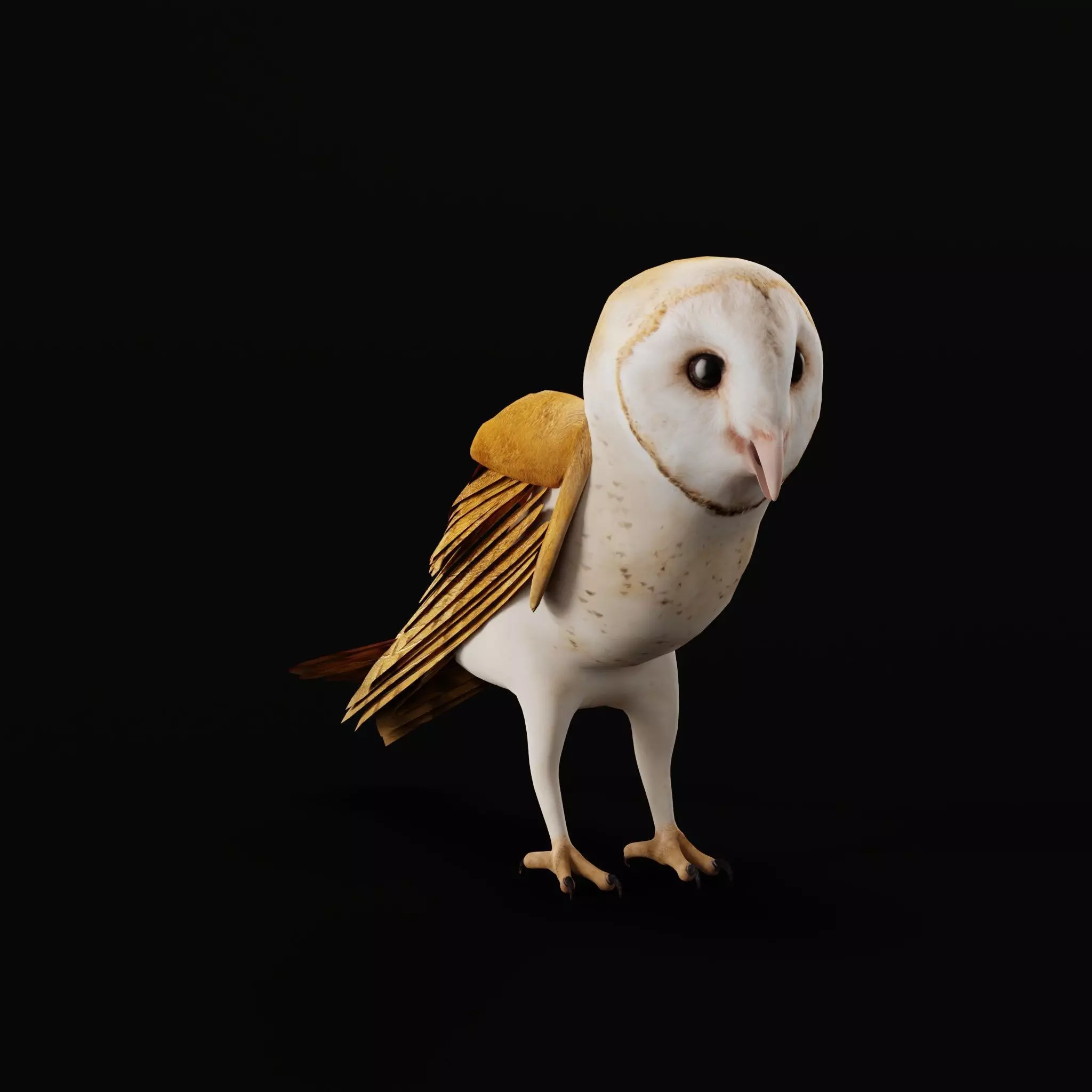 Asian Barn Owl Bird Low-poly 3D model_9