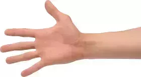 Cartoon Male Hand