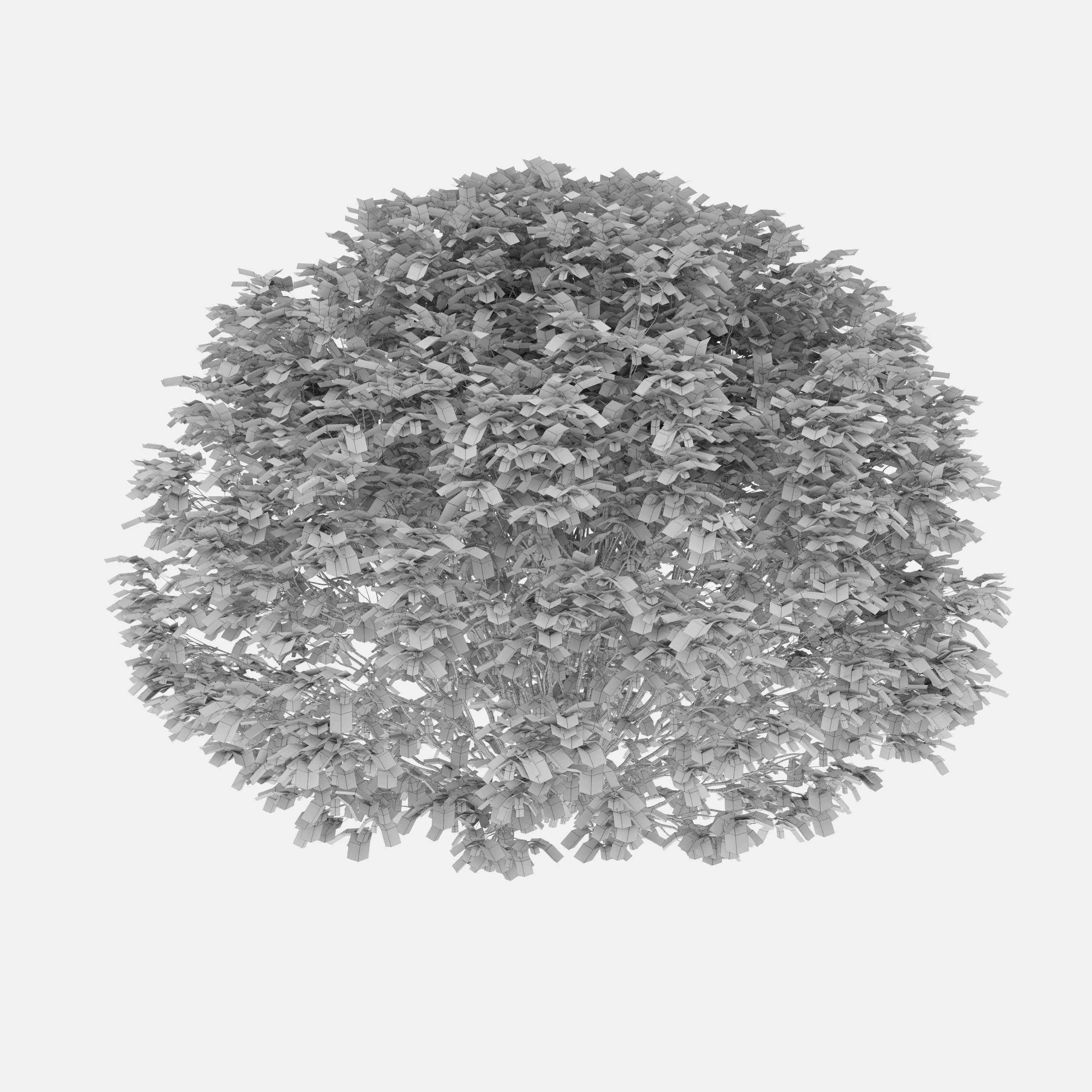 Abelia grandiflora 02 3D model_7