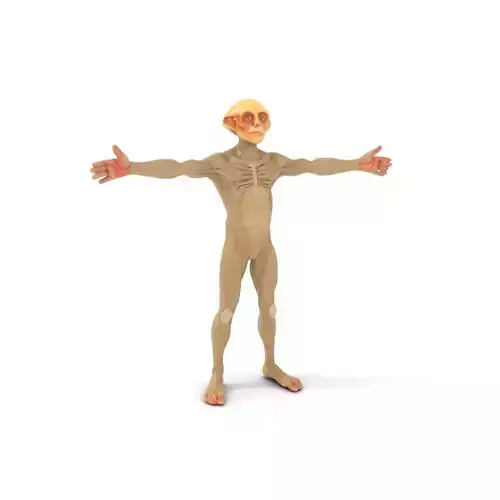 Alien Creature Anatomy model pack