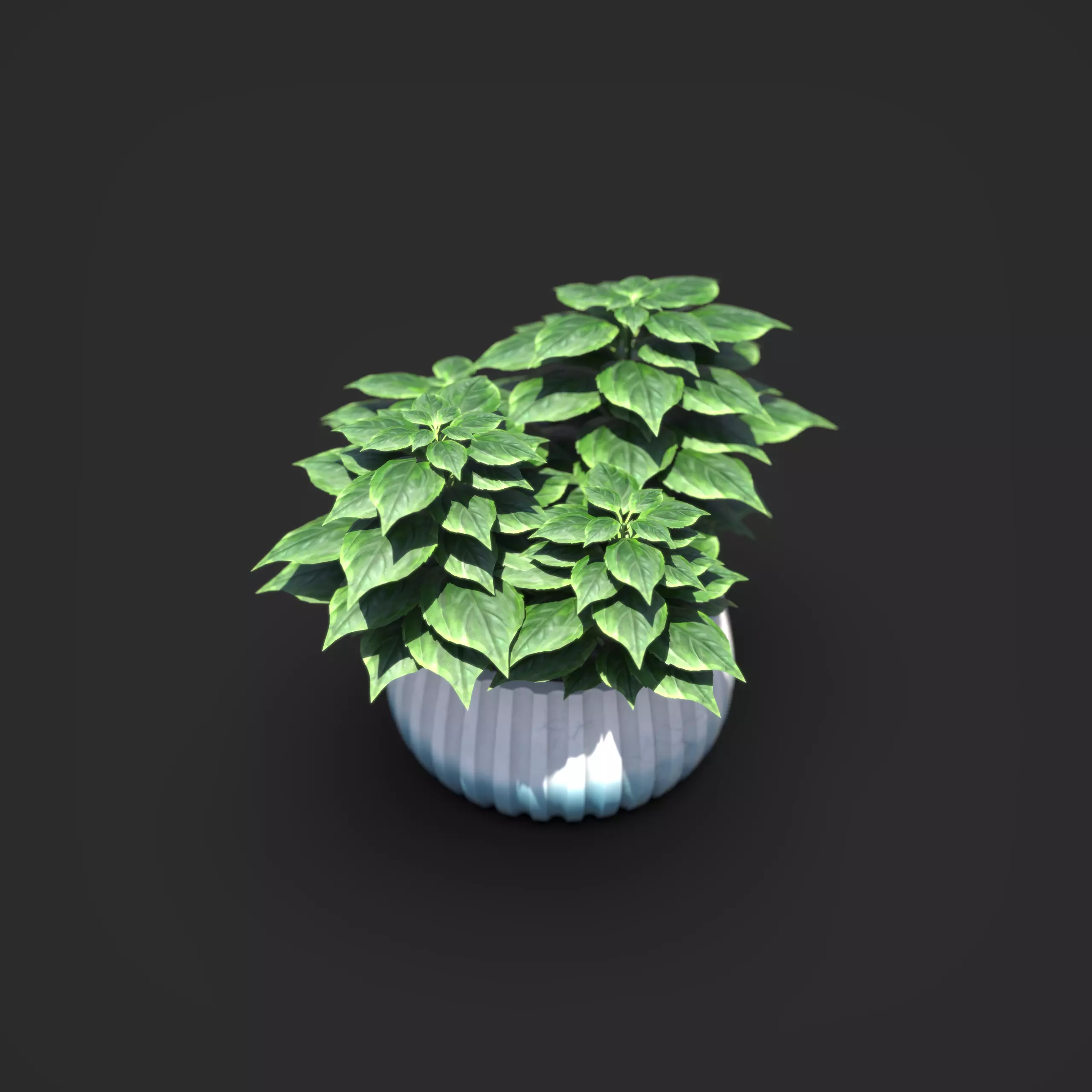 Basil Plant Pot  3D model_0