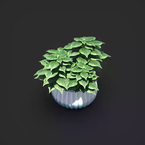 Basil Plant Pot  3D model