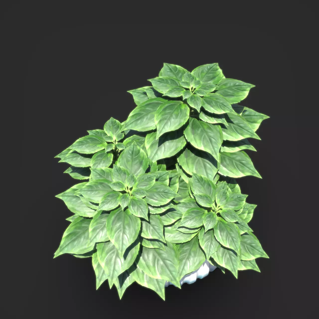 Basil Plant Pot  3D model_3