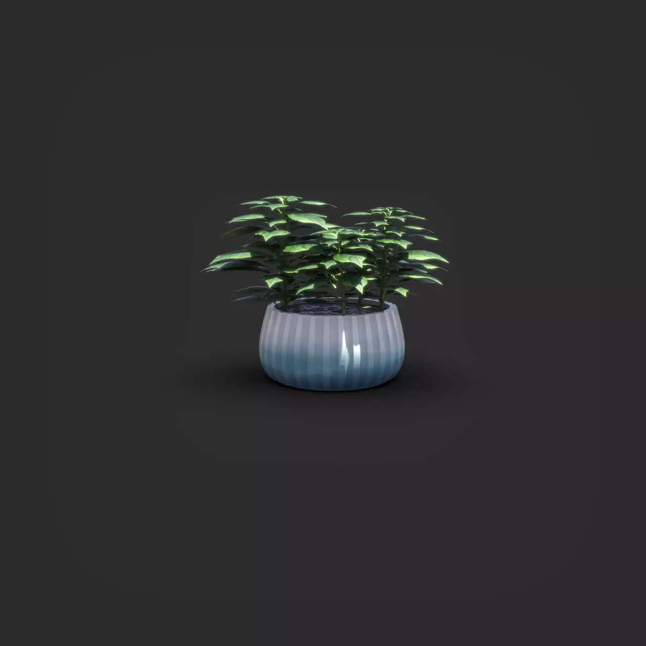 Basil Plant Pot  3D model_2