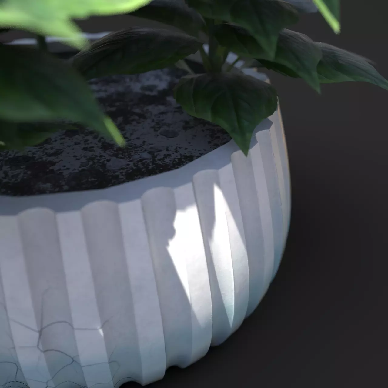 Basil Plant Pot  3D model_1