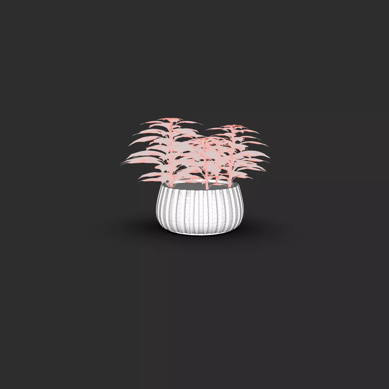 Basil Plant Pot  3D model_4